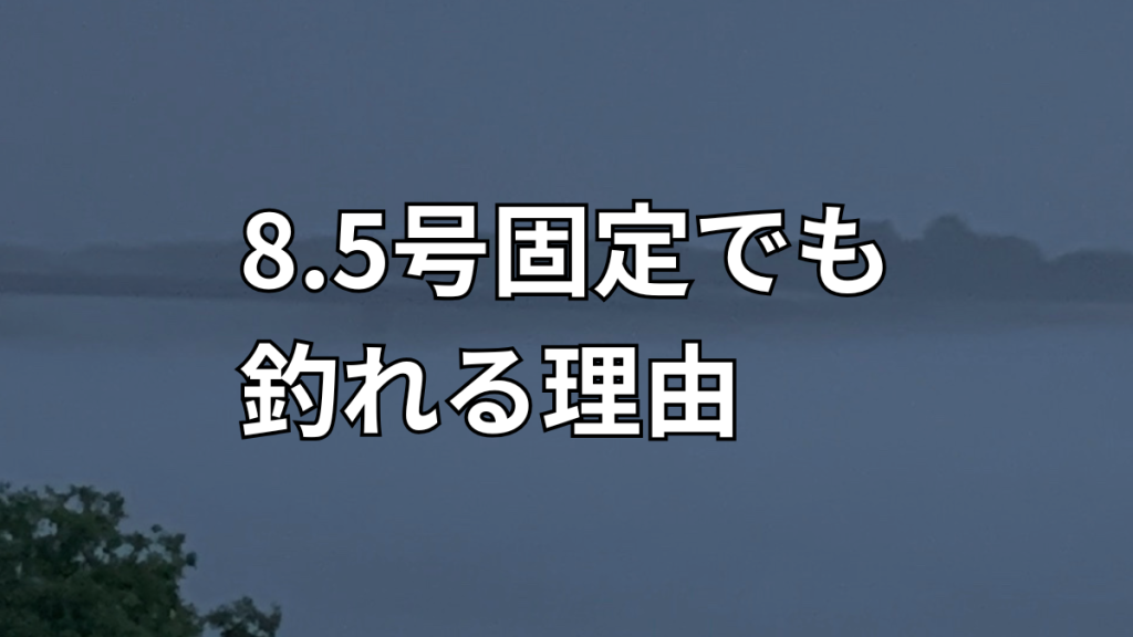 コロガシ釣りで針サイズを固定しても釣れる理由を説明するイメージ