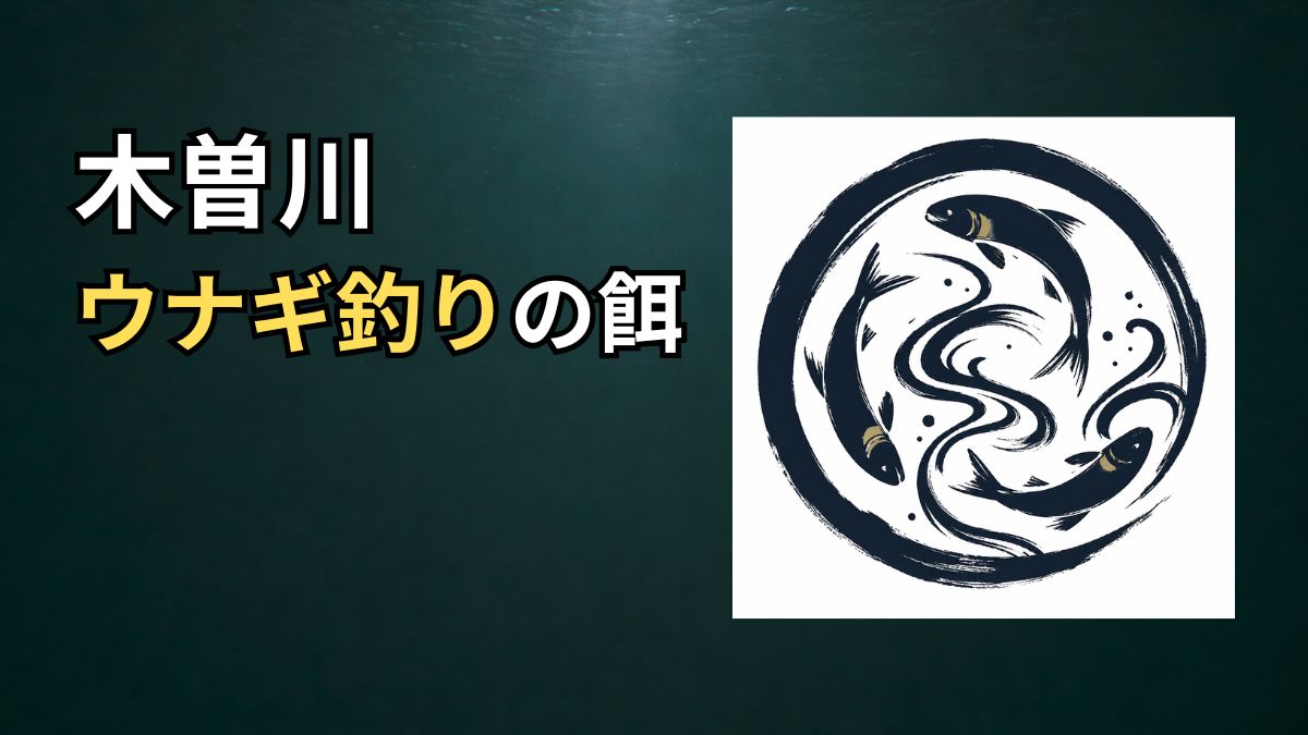 ウナギ釣りの餌のアイキャッチ