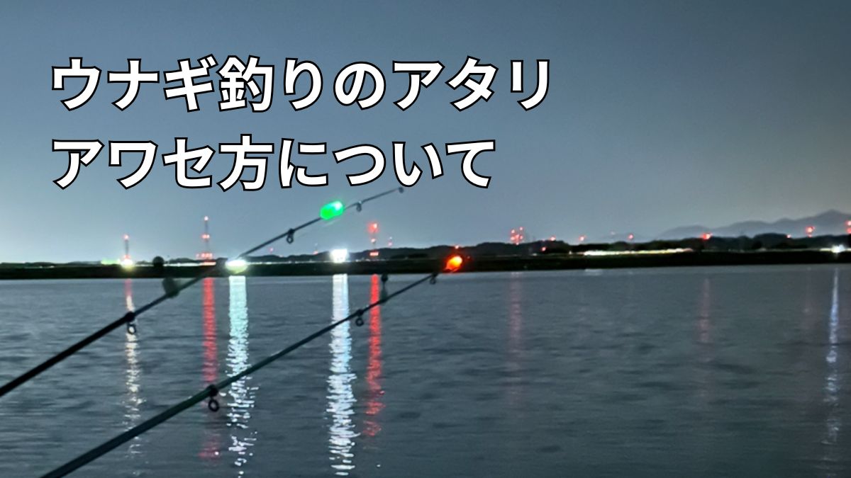 ウナギ釣りのアタリとアワセのタイミングの解説アイキャッチ