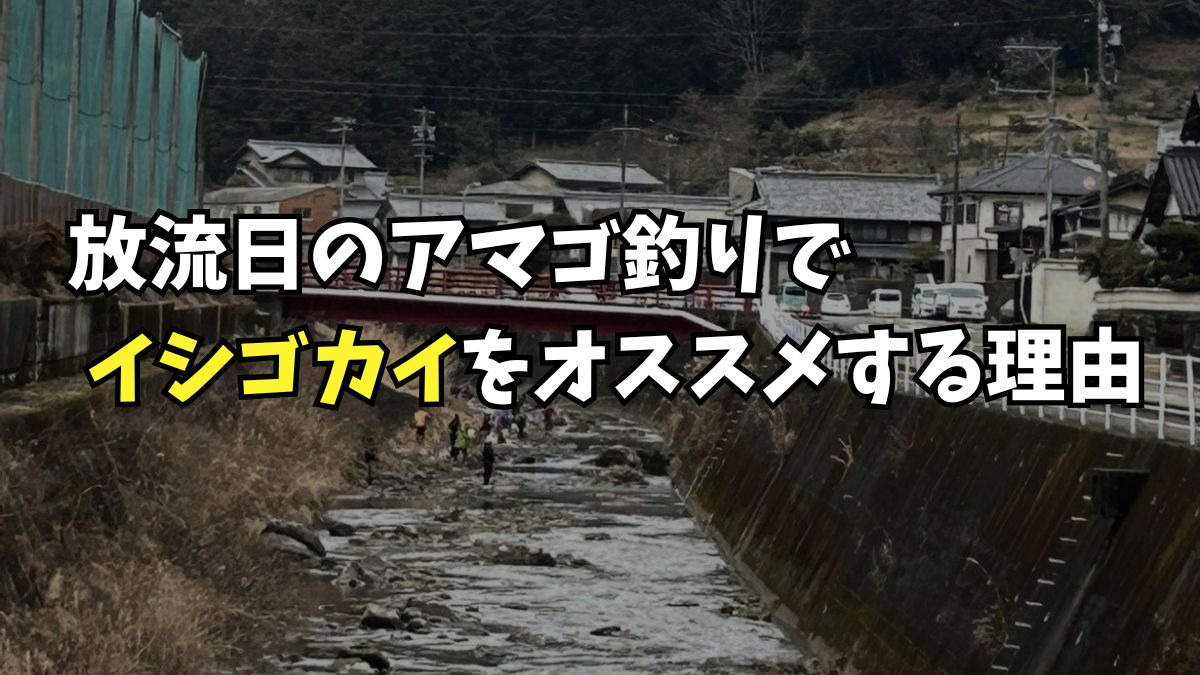 放流日のアマゴ釣りでイシゴカイをおすすめする理由のアイキャッチ