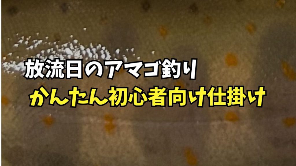 初心者向けアマゴ釣り仕掛けのアイキャッチ